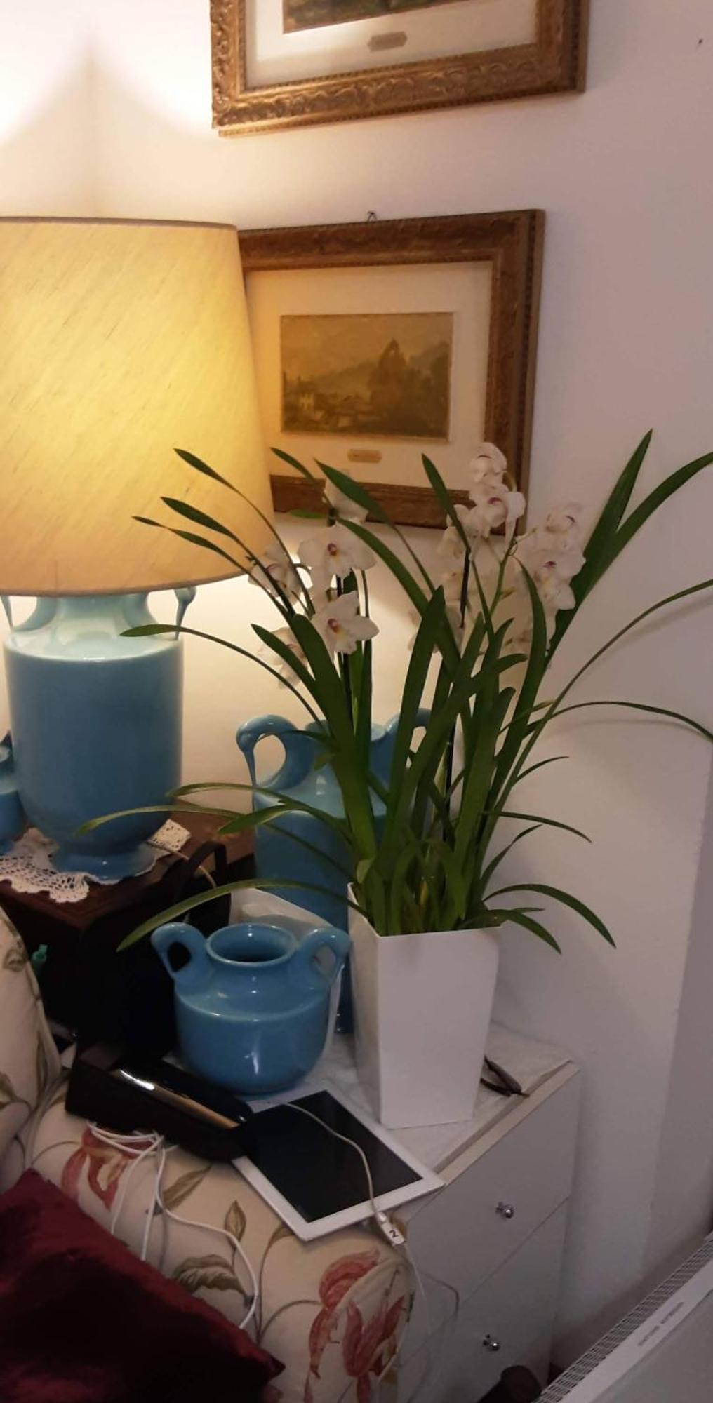 Tosca House 2 Bed & Breakfast Varenna Dış mekan fotoğraf